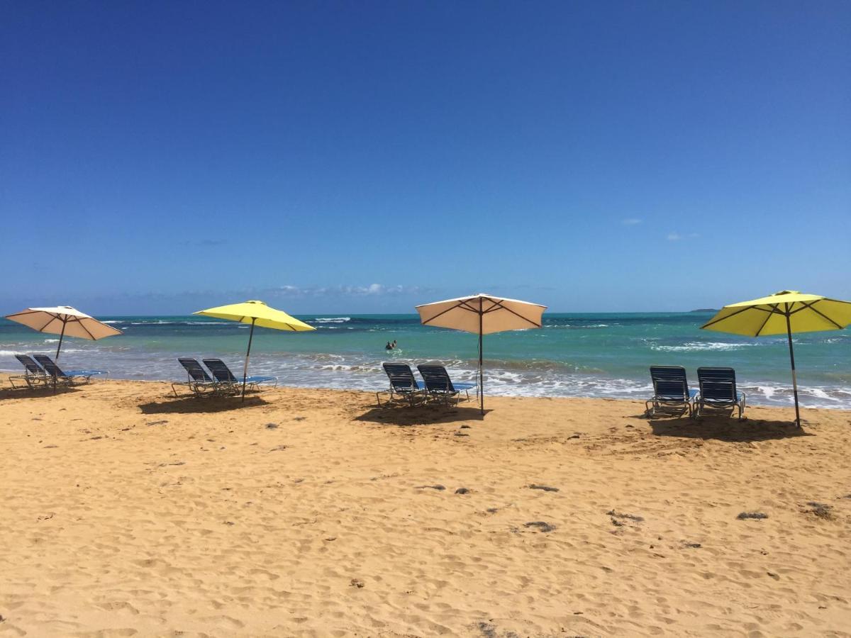 شقة Blue Leaf By The Sea لوكويللو المظهر الخارجي الصورة