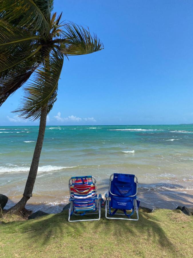 شقة Blue Leaf By The Sea لوكويللو المظهر الخارجي الصورة